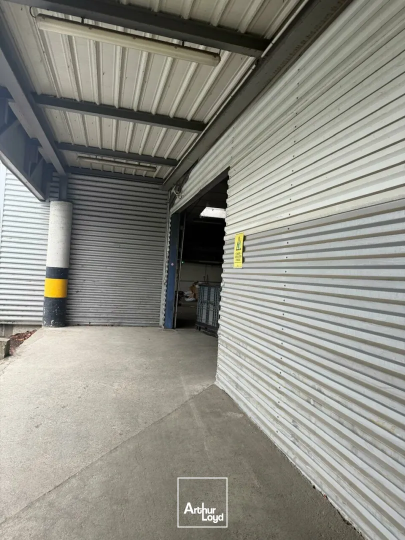Locaux d'activité & Entrepôts - Location - LA CHAPELLE-SAINT-URSIN - 18570 - 1100-1100 - 7776556