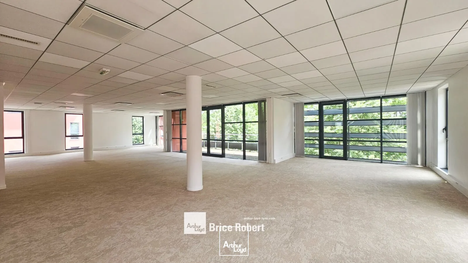 Bureaux - Location - CALUIRE ET CUIRE - 69300 - 243.7-2765.7 - 7777159