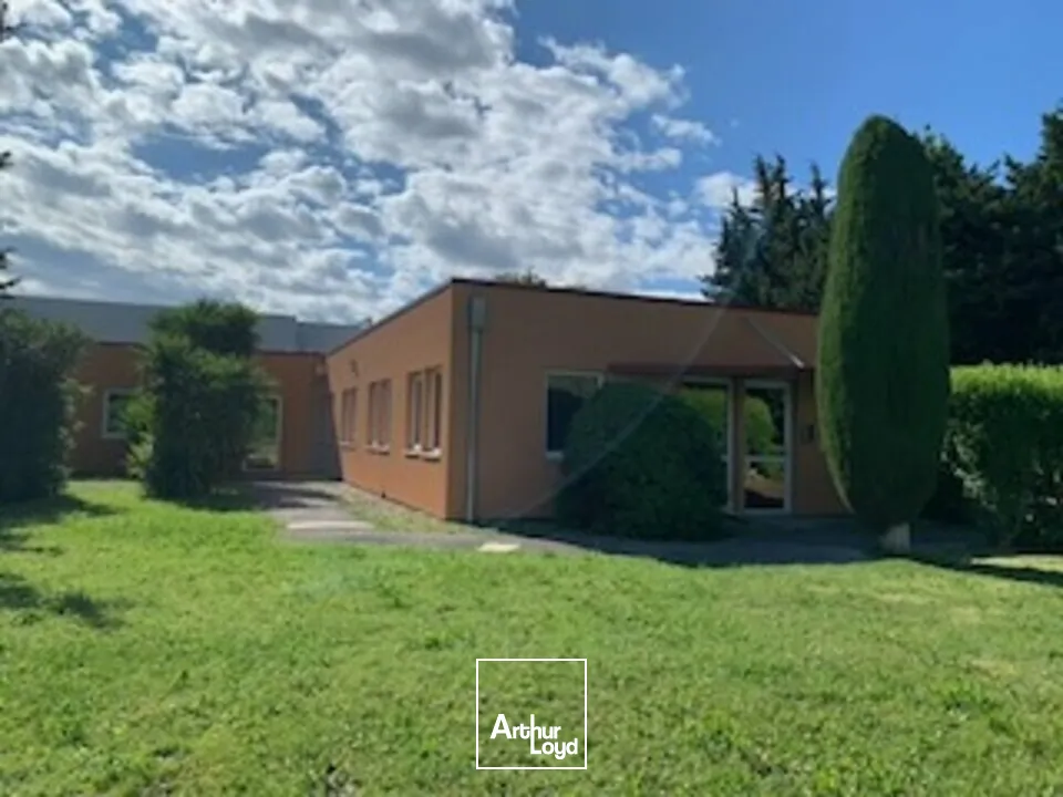 Bureaux - Vente - AVIGNON - 84000 - 304-304 - 7777346
