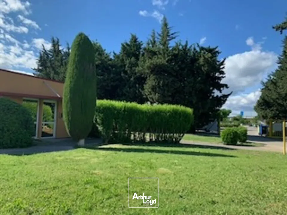 Bureaux - Vente - AVIGNON - 84000 - 304-304 - 7777347