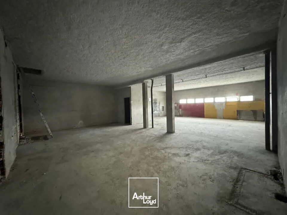 Locaux commerciaux - Location - JOUE LES TOURS - 37300 - 532-532 - 7777466