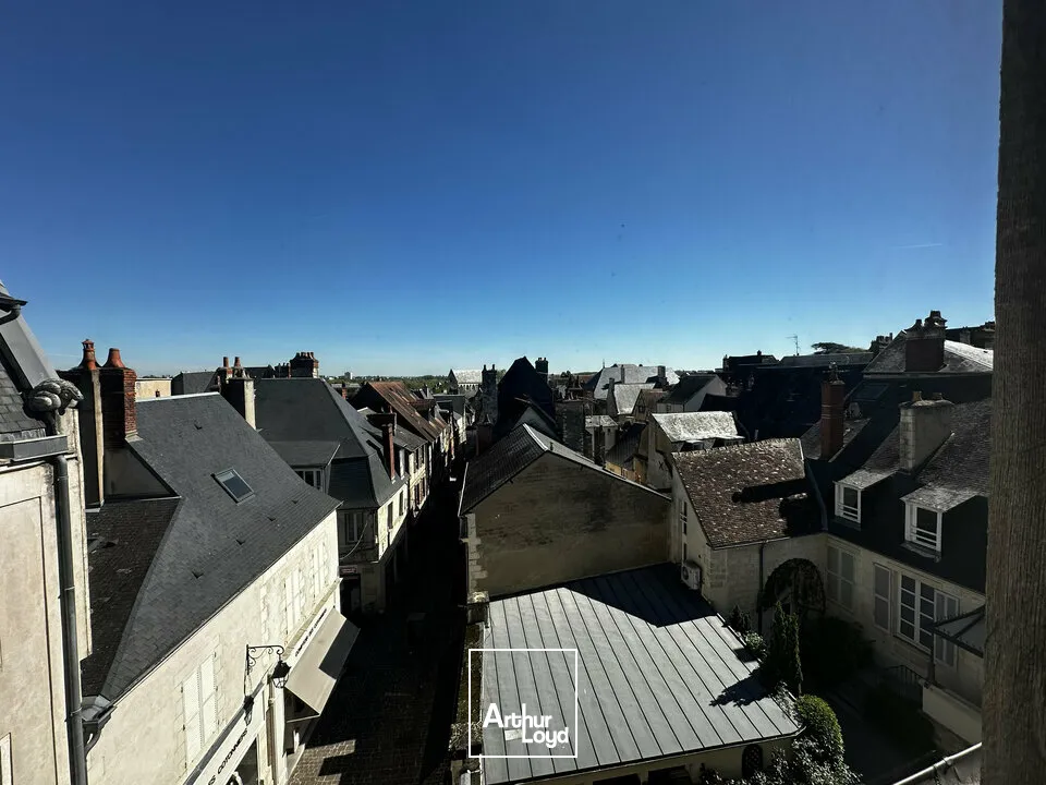 Locaux commerciaux - Vente - BOURGES - 18000 - 380-380 - 7777486