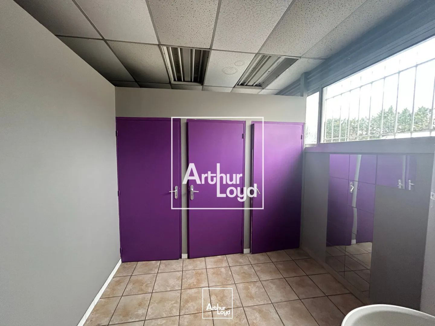 Locaux d'activité & Entrepôts - Location - SAINT CHRISTOL LES ALES - 30380 - 525-525 - 7777559