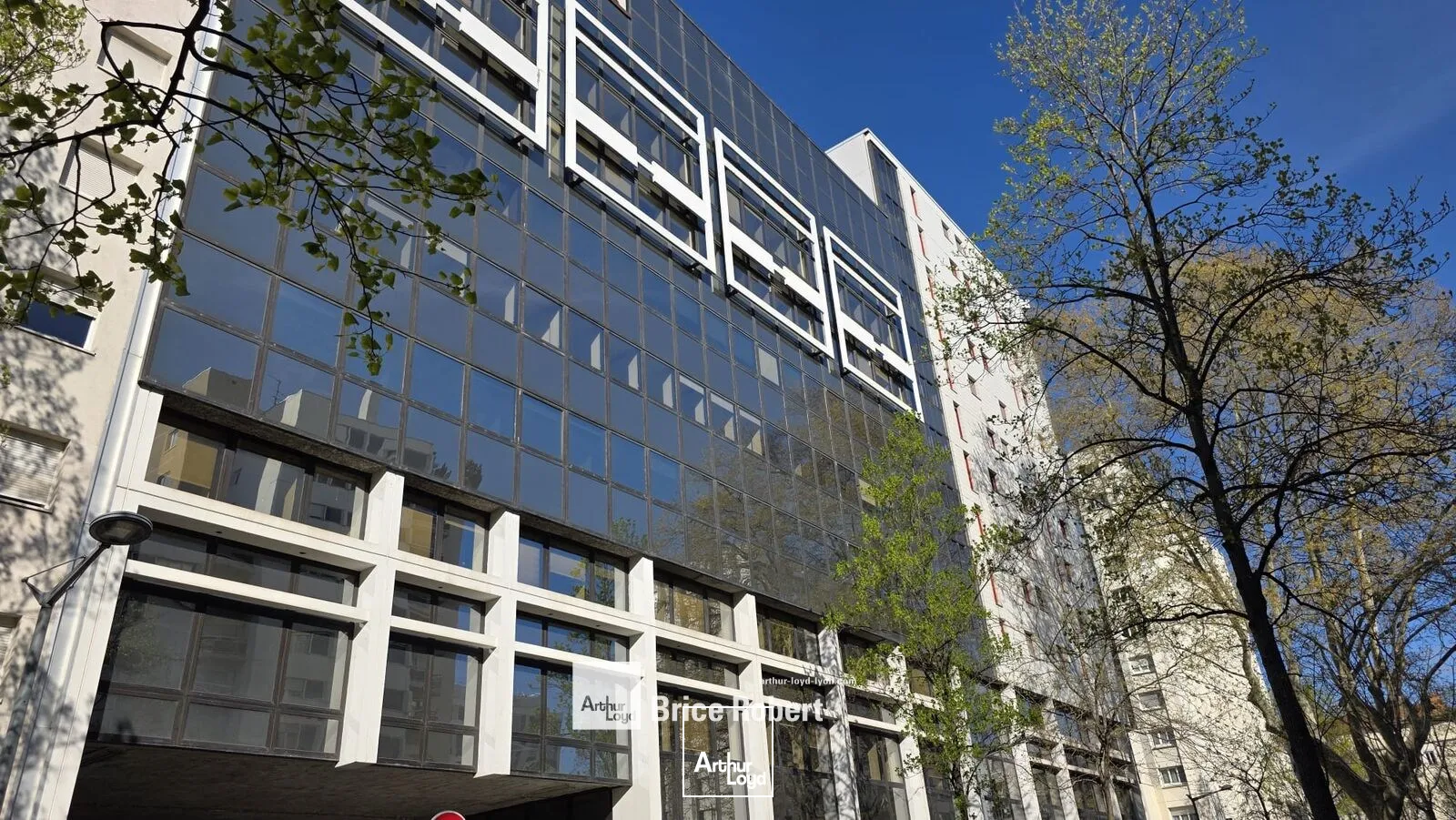 Bureaux - Vente - LYON - 69006 - 556.02-556.02 - 7778097