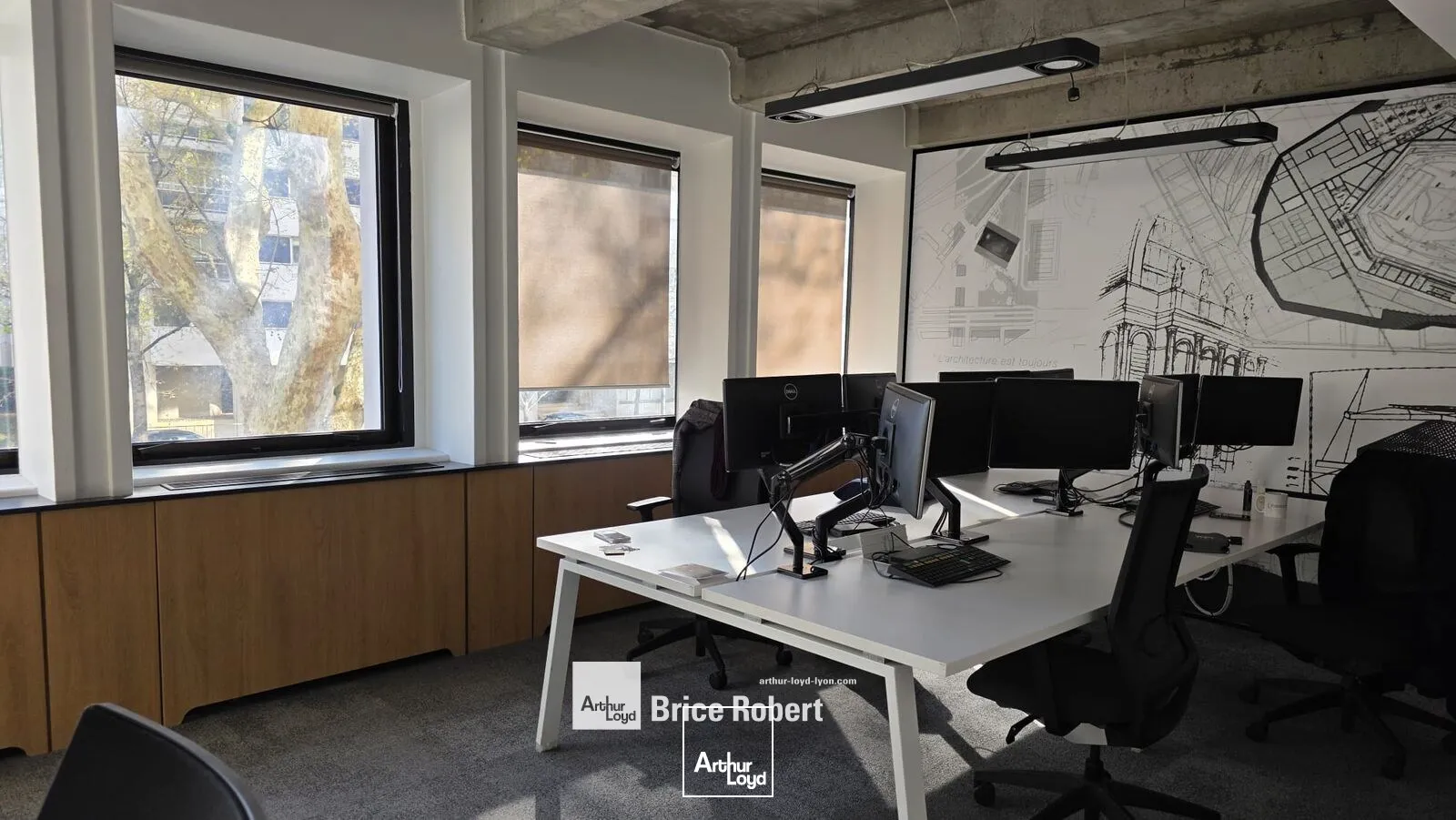 Bureaux - Vente - LYON - 69006 - 556.02-556.02 - 7778102