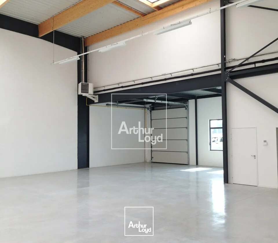 Locaux d'activité & Entrepôts - Location - LIEUSAINT - 77127 - 290-290 - 7778259