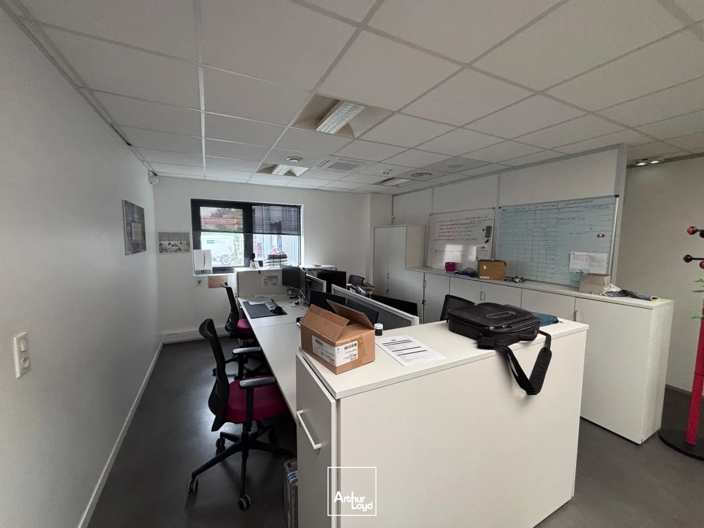 Locaux d'activité & Entrepôts - Location - LES SORINIERES - 44840 - 780-780 - 7778691