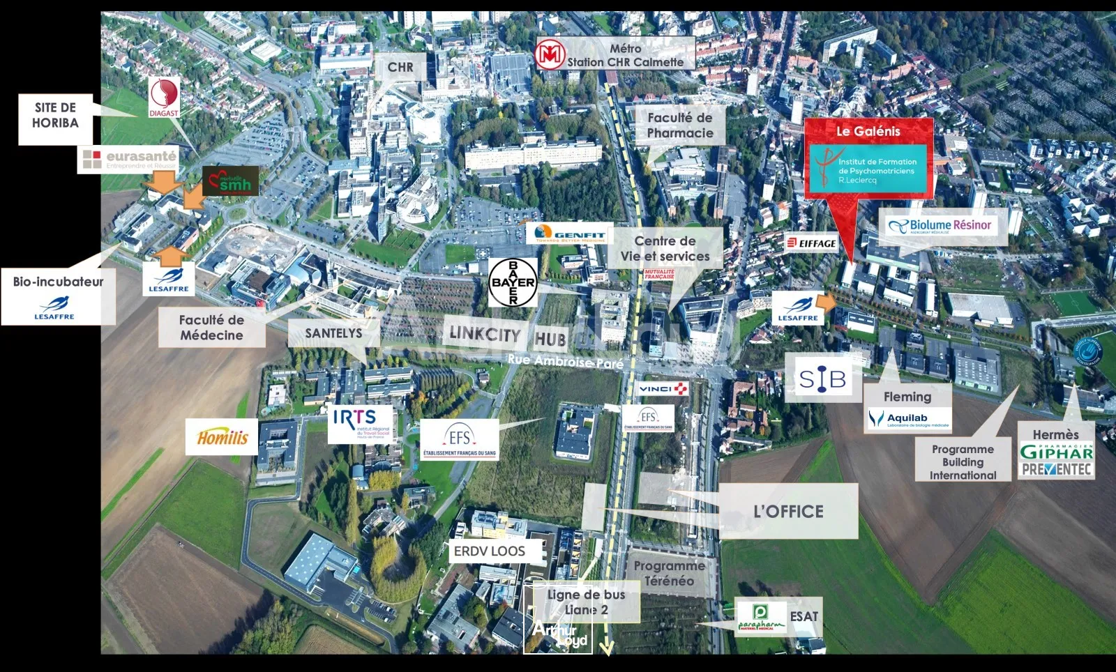 Bureaux - Location - LOOS - 59120 - 481.76-481.76 - 7778944
