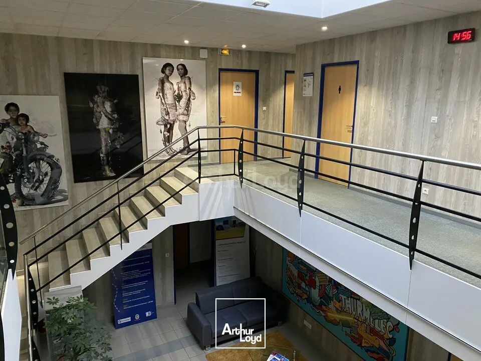 Bureaux - Location - PULVERSHEIM - 68840 - 50-157 - 7779241