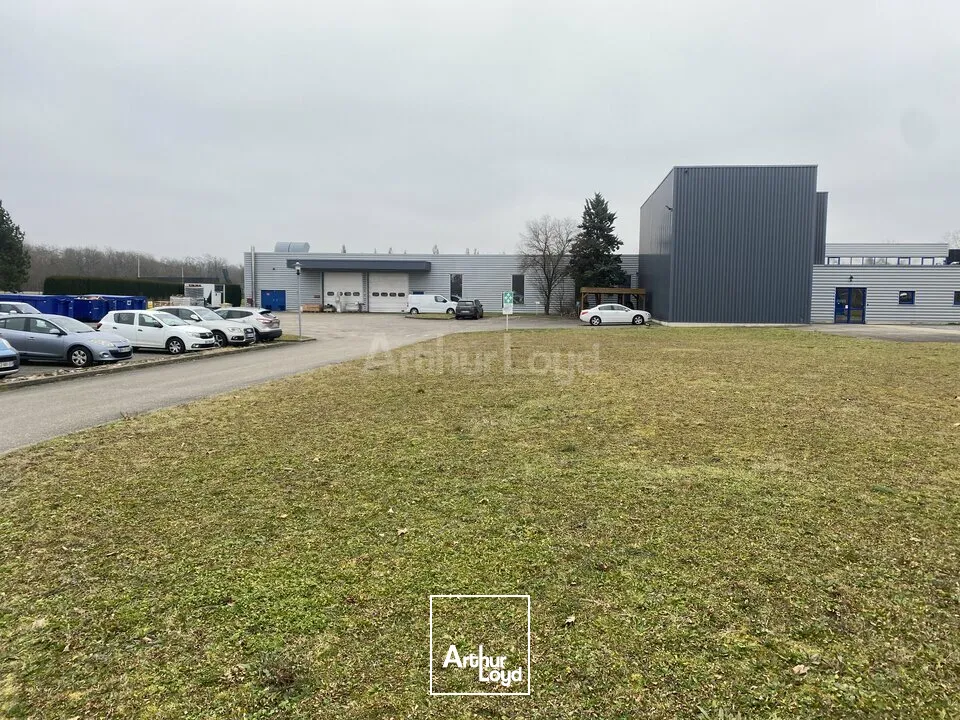 Bureaux - Location - PULVERSHEIM - 68840 - 50-157 - 7779244