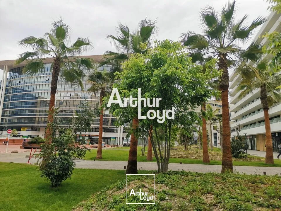 Bureaux - Location - NICE - 06200 - 253-253 - 7779258