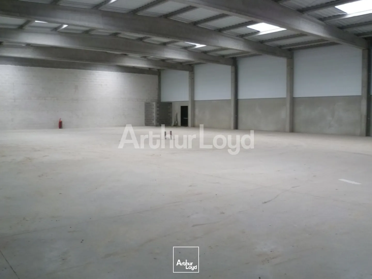 Locaux d'activité & Entrepôts - Location - AVELIN - 59710 - 854-854 - 7779923