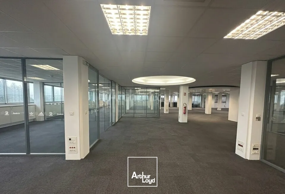 Bureaux - Location - LANDERSHEIM - 67700 - 50-100 - 7780199