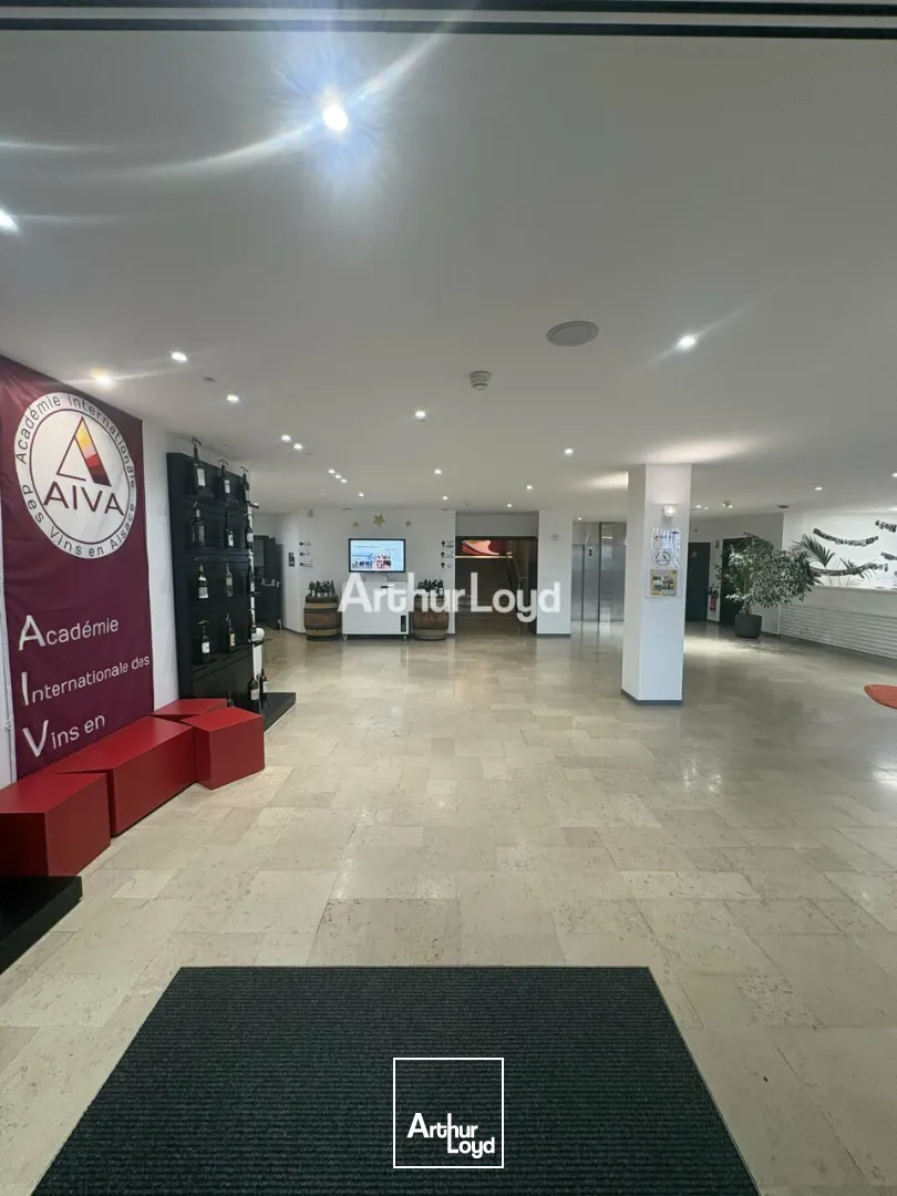 Bureaux - Location - LANDERSHEIM - 67700 - 50-100 - 7780208