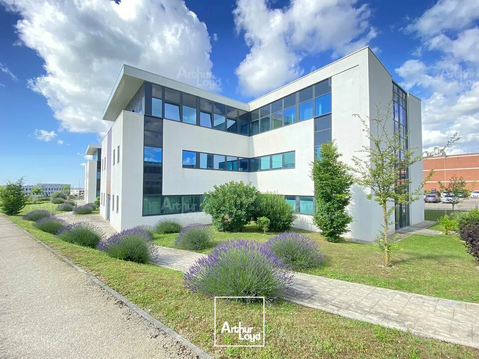 Bureaux - Location - DIJON - 21000 - 64-236 - 7780231