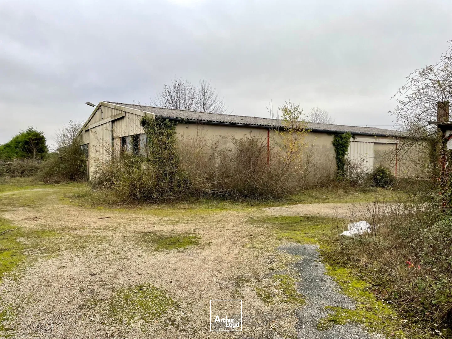 Locaux d'activité & Entrepôts - Vente - BERNAY - 27300 - 544-2219 - 7780587