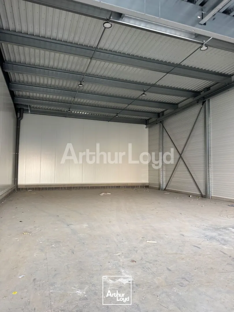 Locaux d'activité & Entrepôts - Location - SECLIN - 59113 - 381-8774 - 7780729