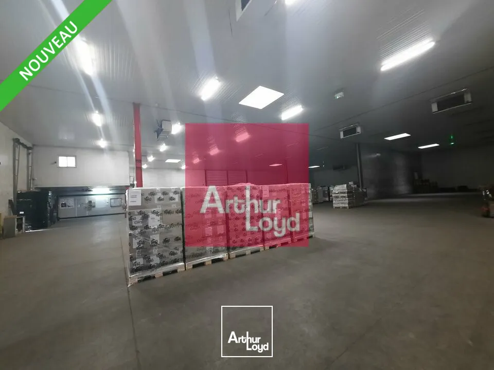 Locaux d'activité & Entrepôts - Location - COURNON D'AUVERGNE - 63800 - 1785-1785 - 7782108