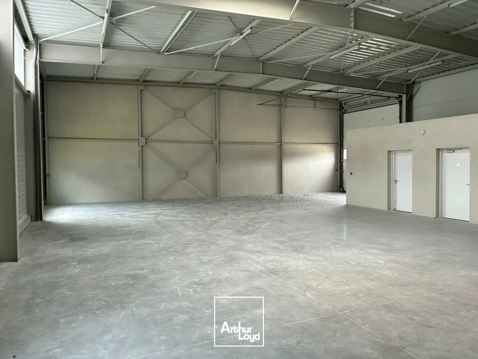 Locaux d'activité & Entrepôts - Location - AIZENAY - 85190 - 290-290 - 7782237