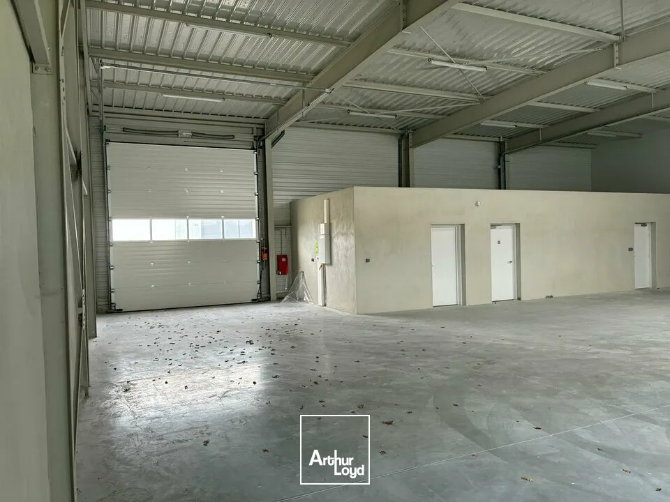 Locaux d'activité & Entrepôts - Location - AIZENAY - 85190 - 290-290 - 7782239