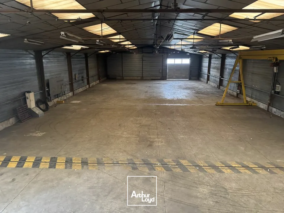 Locaux d'activité & Entrepôts - Vente - SAINT-PIERRE-DES-CORPS - 37700 - 1064-1064 - 7782292