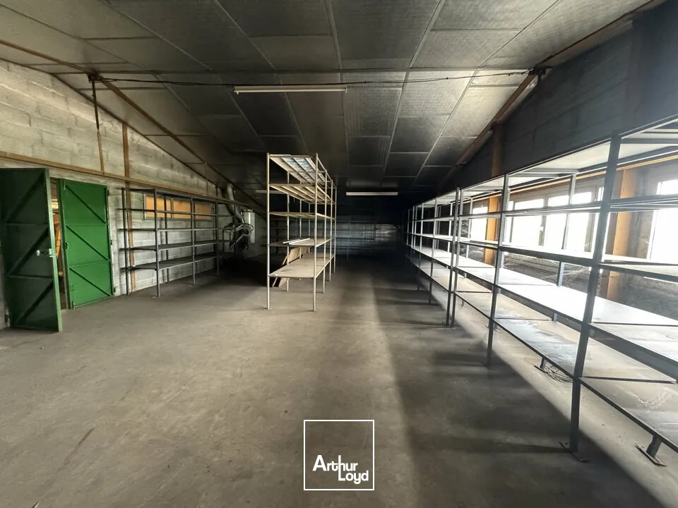 Locaux d'activité & Entrepôts - Vente - SAINT-PIERRE-DES-CORPS - 37700 - 1064-1064 - 7782295