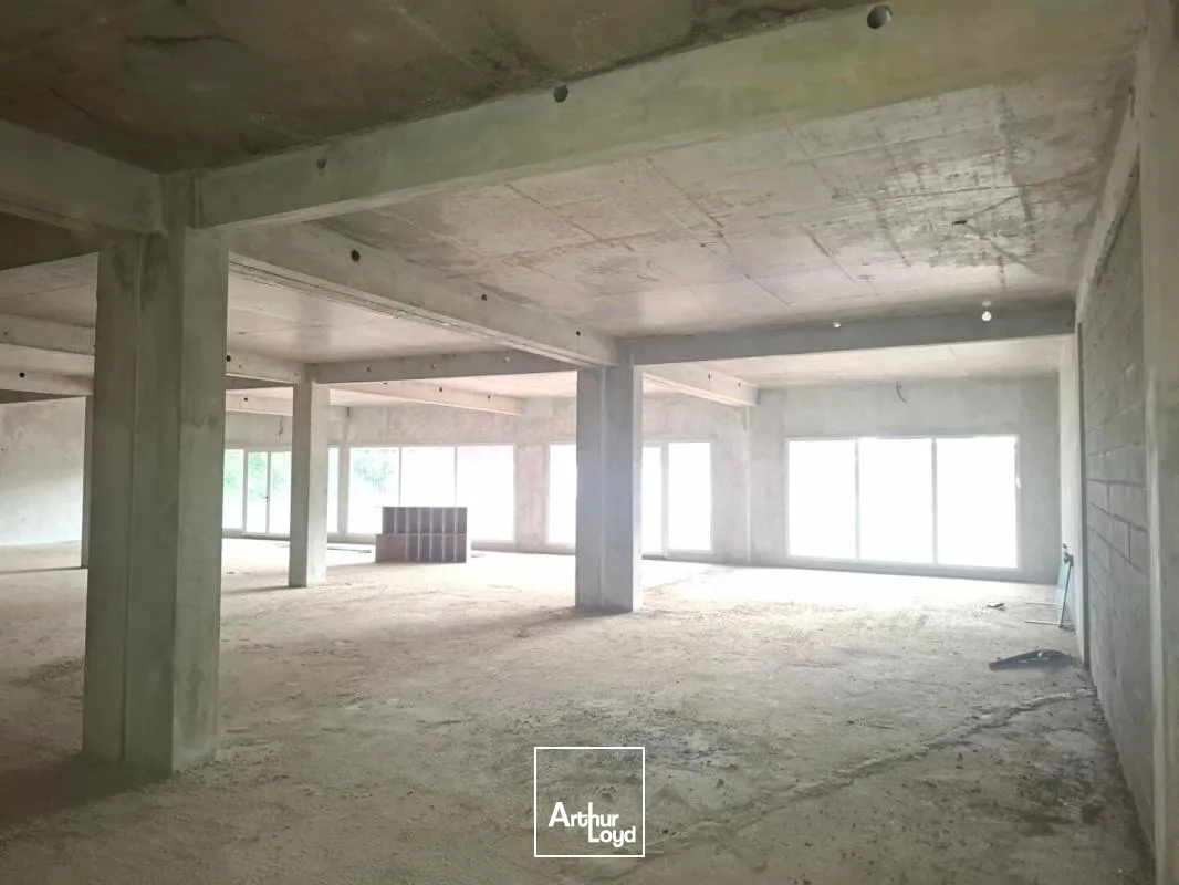 Locaux commerciaux - Location - Matoury - 97351 - 189-189 - 7783054