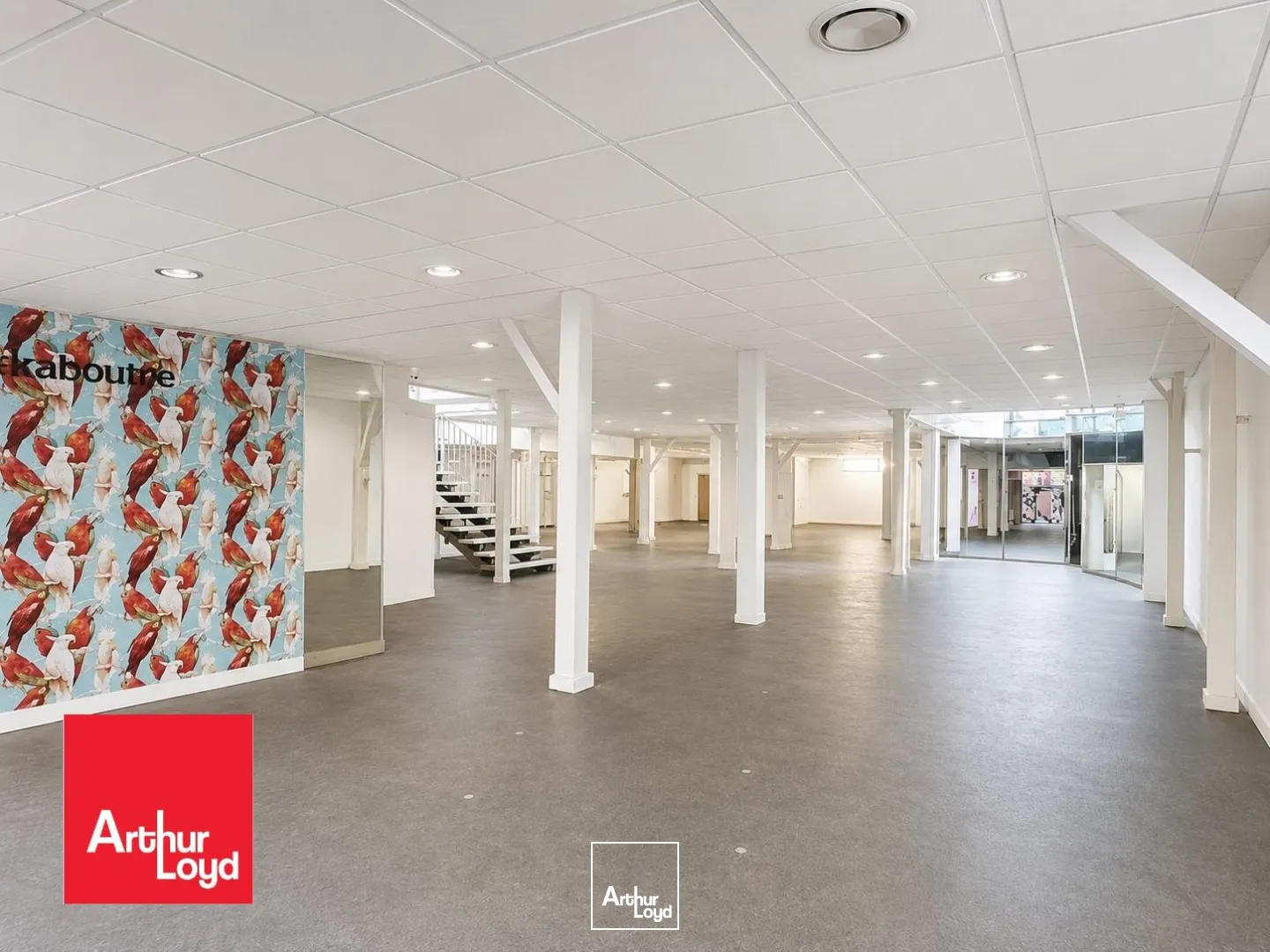 Locaux commerciaux - Location - CHARTRES - 28000 - 474-474 - 7783072
