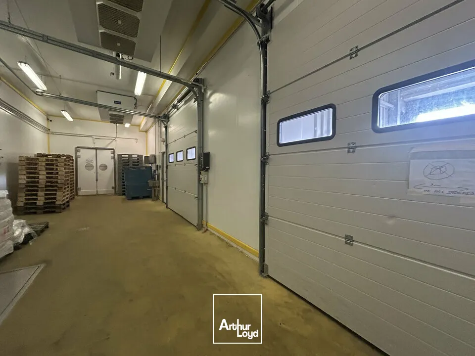 Locaux d'activité & Entrepôts - Vente - SARREGUEMINES - 57200 - 7633-7633 - 7783130