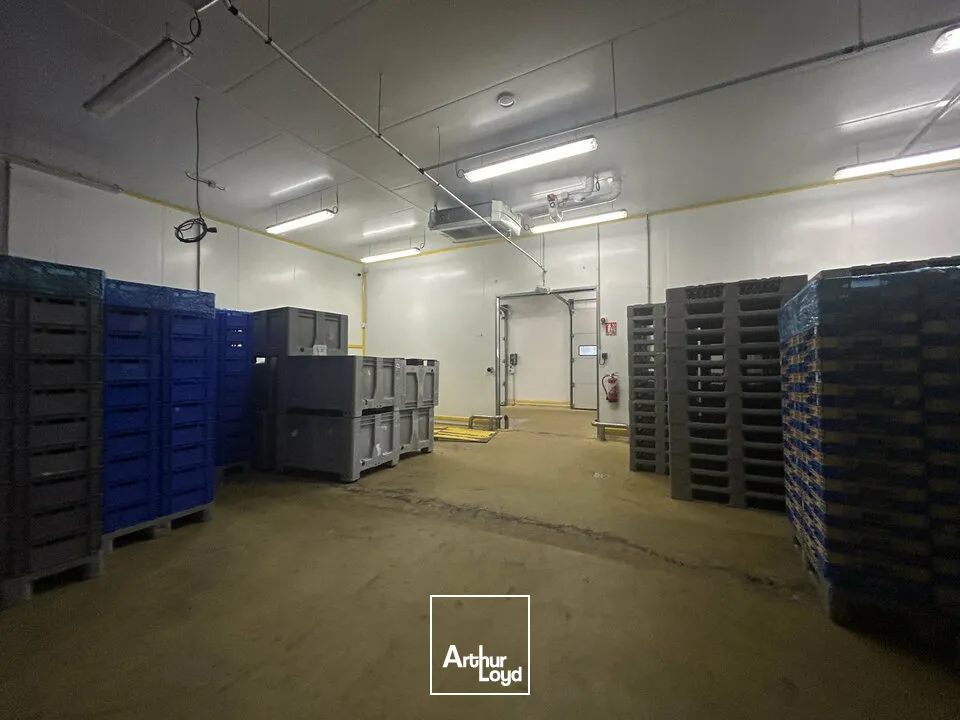 Locaux d'activité & Entrepôts - Vente - SARREGUEMINES - 57200 - 7633-7633 - 7783131