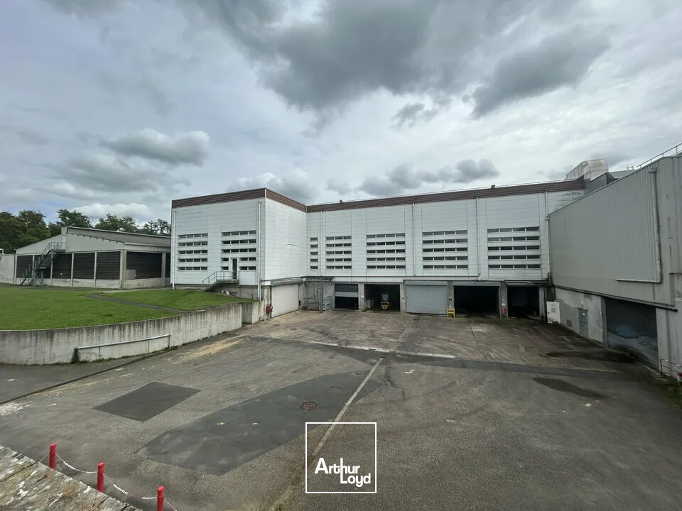 Locaux d'activité & Entrepôts - Vente - SARREGUEMINES - 57200 - 7633-7633 - 7783128