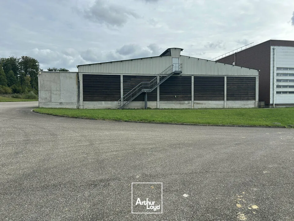 Locaux d'activité & Entrepôts - Vente - SARREGUEMINES - 57200 - 7633-7633 - 7783127