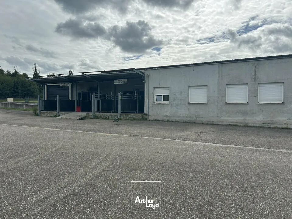 Locaux d'activité & Entrepôts - Vente - SARREGUEMINES - 57200 - 7633-7633 - 7783126