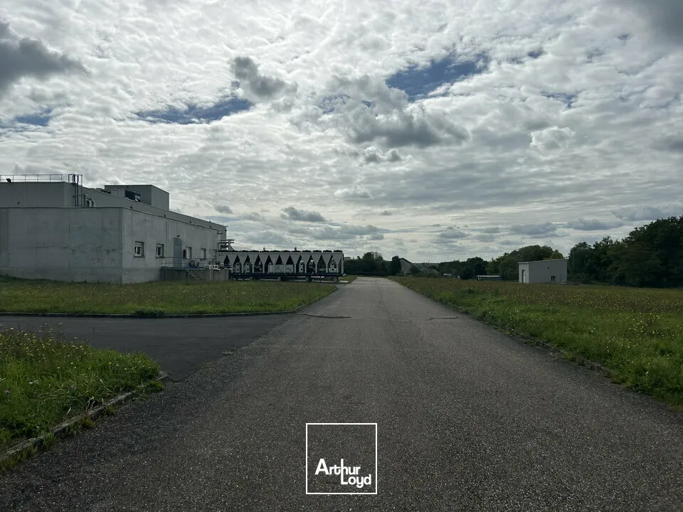 Locaux d'activité & Entrepôts - Vente - SARREGUEMINES - 57200 - 7633-7633 - 7783125