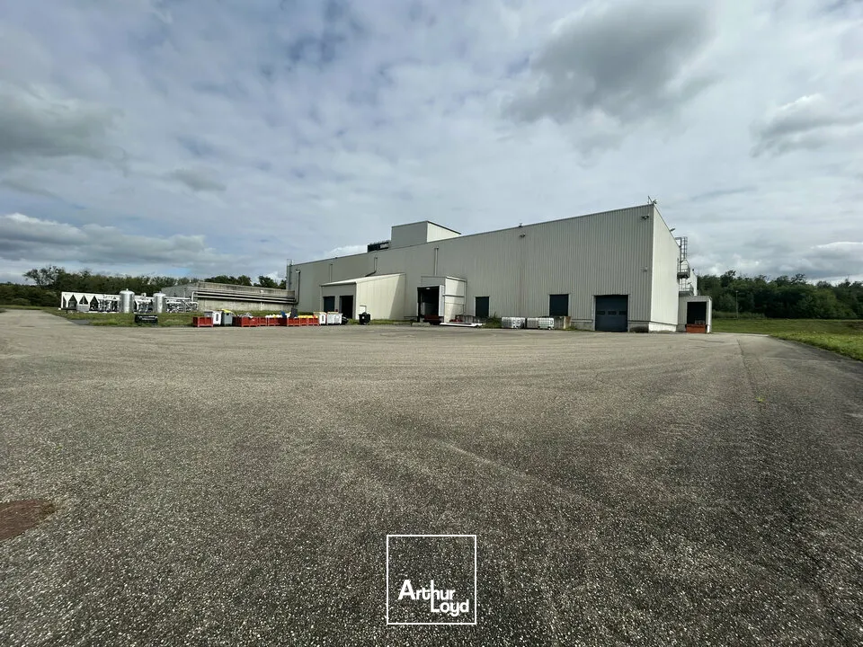 Locaux d'activité & Entrepôts - Vente - SARREGUEMINES - 57200 - 7633-7633 - 7783124