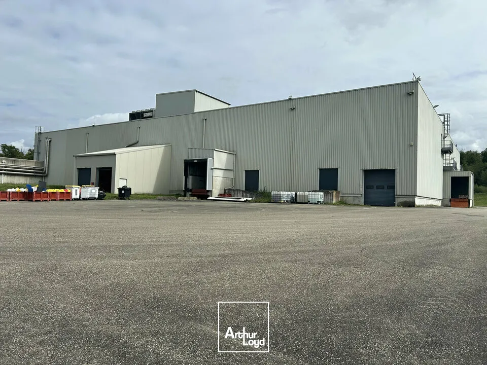 Locaux d'activité & Entrepôts - Vente - SARREGUEMINES - 57200 - 7633-7633 - 7783123