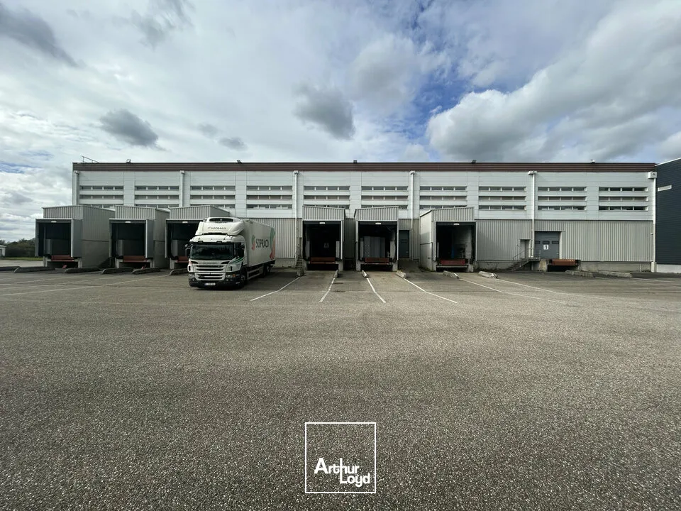 Locaux d'activité & Entrepôts - Vente - SARREGUEMINES - 57200 - 7633-7633 - 7783122