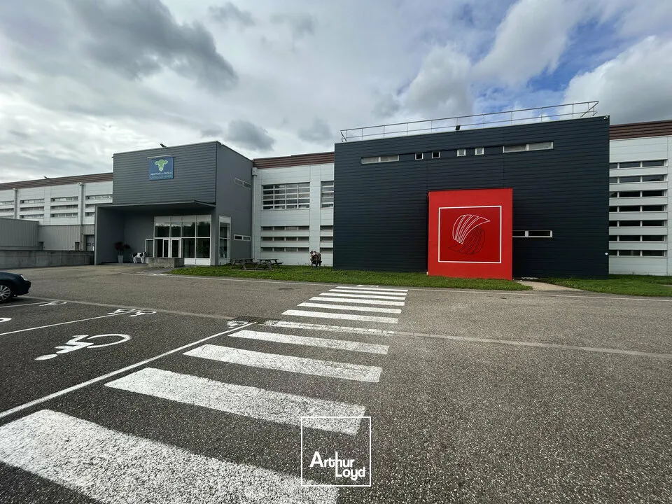 Locaux d'activité & Entrepôts - Vente - SARREGUEMINES - 57200 - 7633-7633 - 7783121