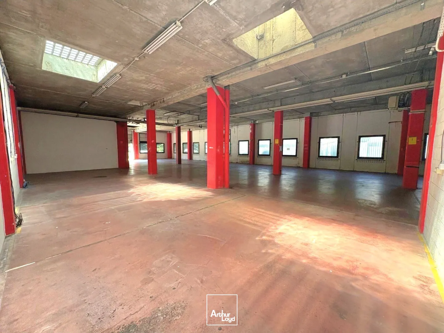 Locaux d'activité & Entrepôts - Location - MARSEILLE - 13009 - 54-2926 - 7783756