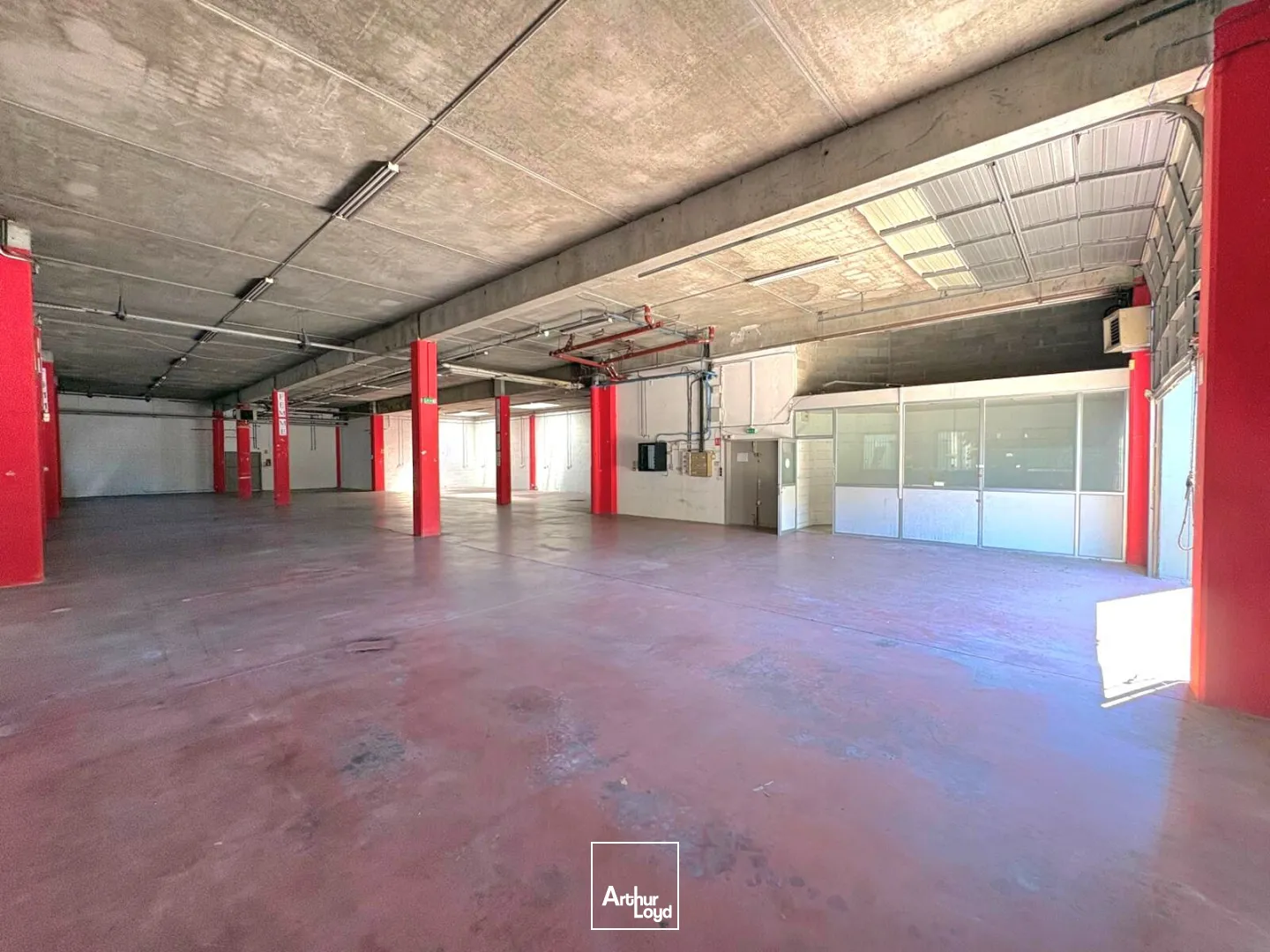 Locaux d'activité & Entrepôts - Location - MARSEILLE - 13009 - 54-2926 - 7783757