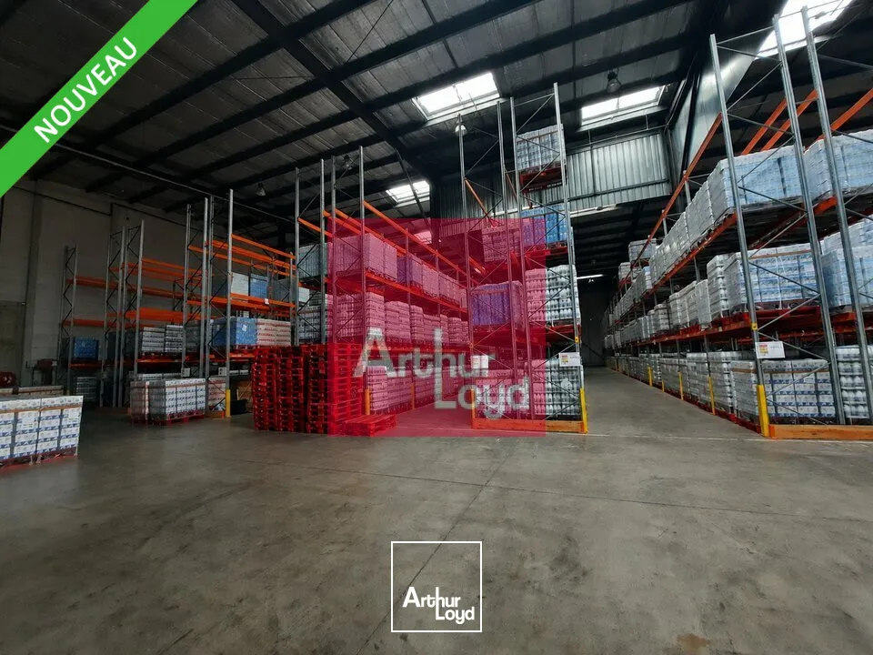 Locaux d'activité & Entrepôts - Location - COURNON-D'AUVERGNE - 63800 - 7359-7359 - 7784176