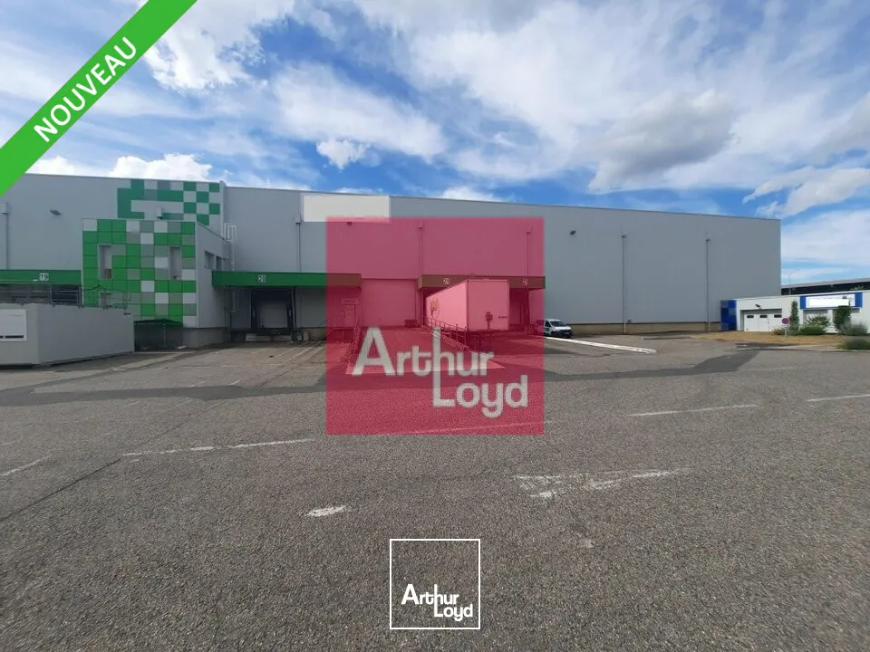 Locaux d'activité & Entrepôts - Location - COURNON-D'AUVERGNE - 63800 - 7359-7359 - 7784175