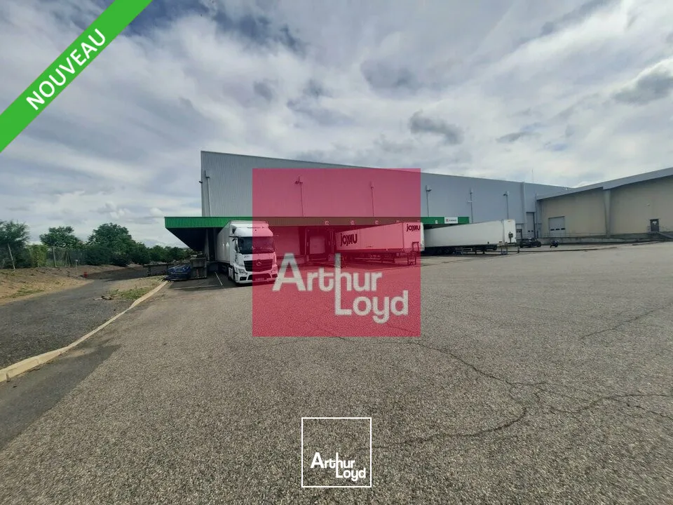 Locaux d'activité & Entrepôts - Location - COURNON-D'AUVERGNE - 63800 - 7359-7359 - 7784174