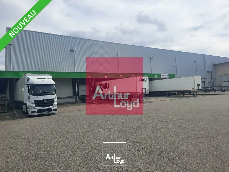 Locaux d'activité & Entrepôts - Location - COURNON-D'AUVERGNE - 63800 - 7359-7359 - 7784173