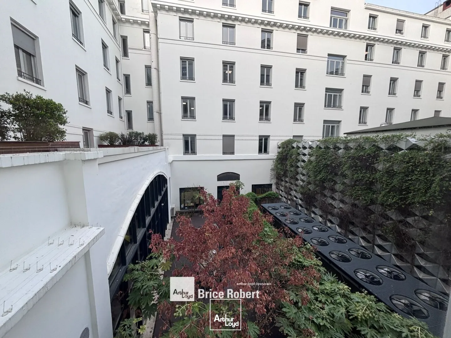 Bureaux - Location - LYON - 69006 - 375-2441 - 7784874