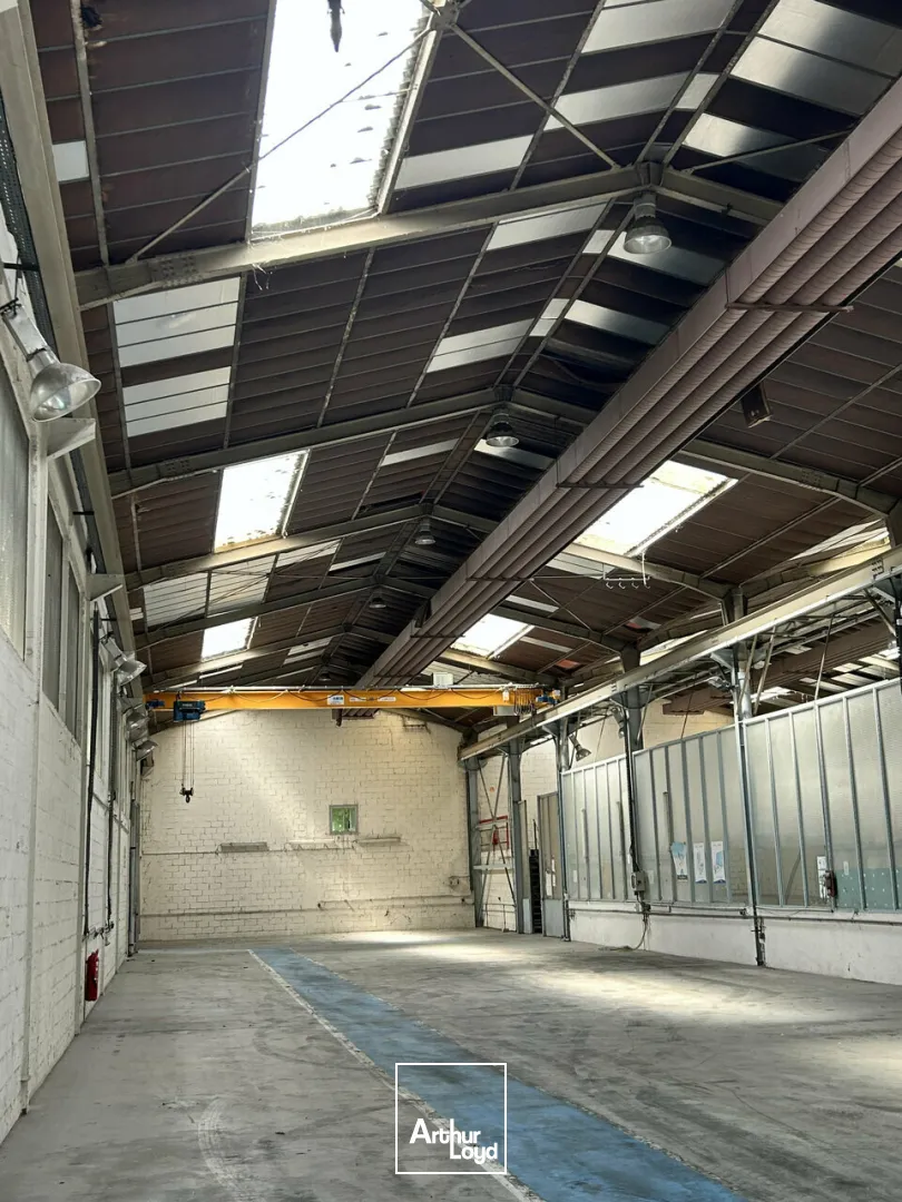 Locaux d'activité & Entrepôts - Vente - MULHOUSE - 68200 - 4552-4552 - 7785046
