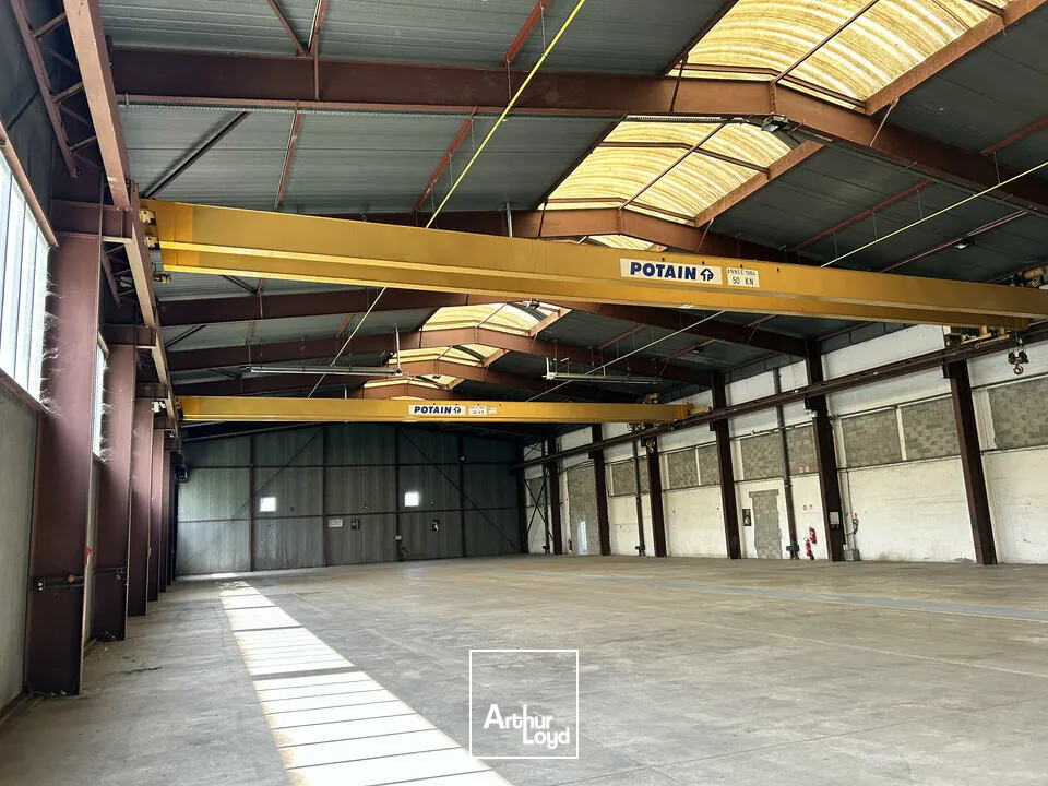 Locaux d'activité & Entrepôts - Vente - MULHOUSE - 68200 - 4552-4552 - 7785053