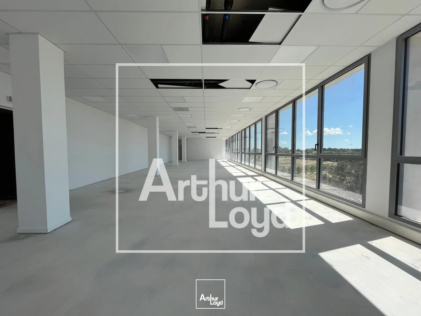 Bureaux - Location - MONTPELLIER - 34000 - 287.16-6092 - 7785397