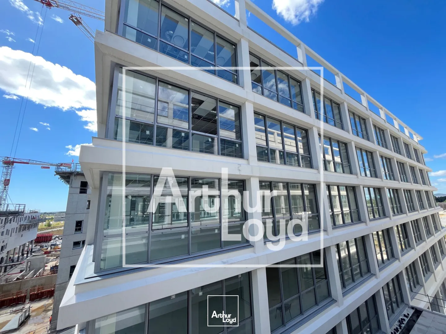 Bureaux - Location - MONTPELLIER - 34000 - 298.55-4741 - 7785407