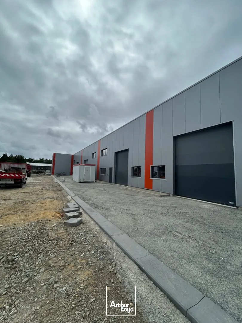 Locaux d'activité & Entrepôts - Vente - PAULX - 44270 - 42-2644 - 7785459